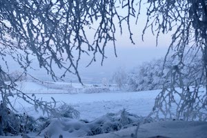 Neige du matin